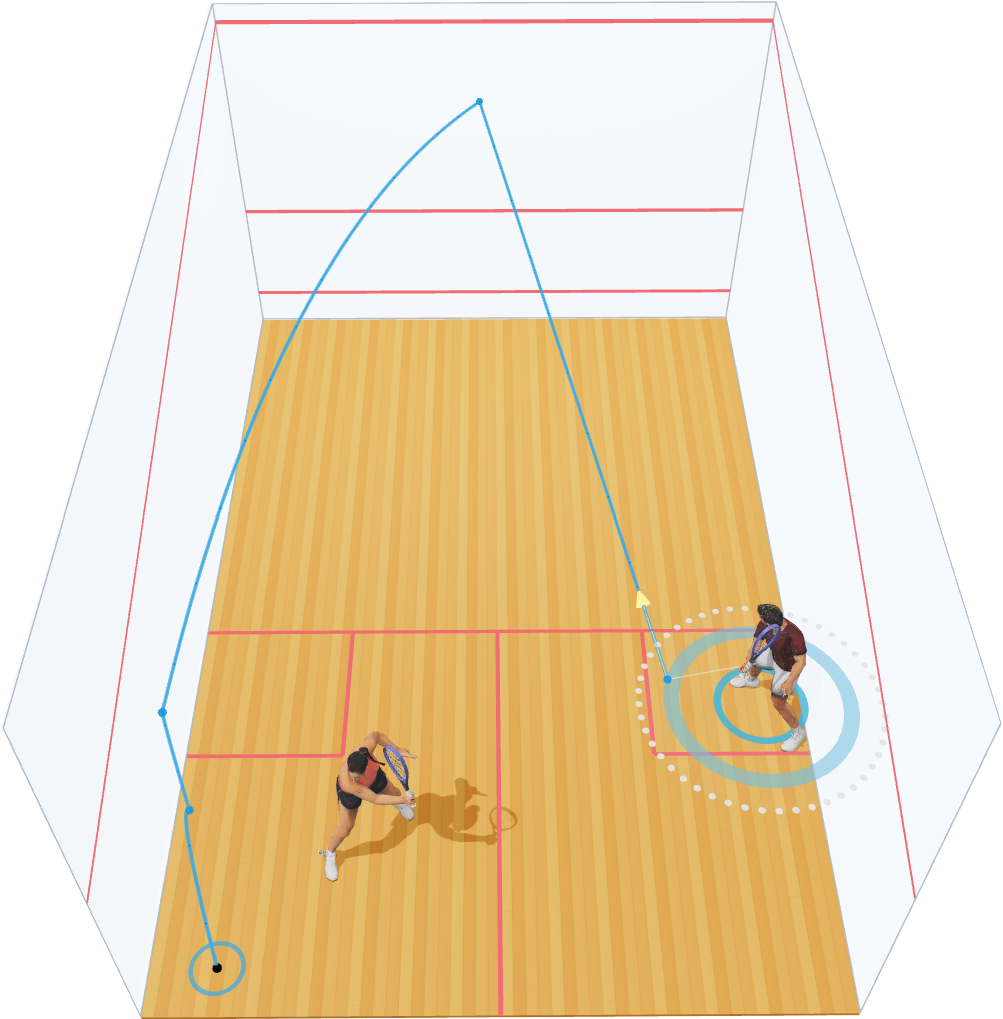 Court View