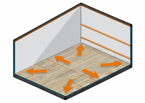 Squash Rhythm Trainer Movement Training